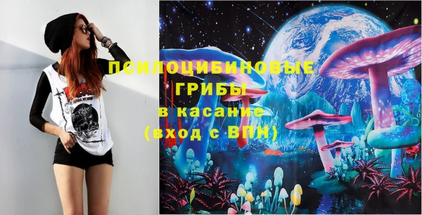 шишки Армянск