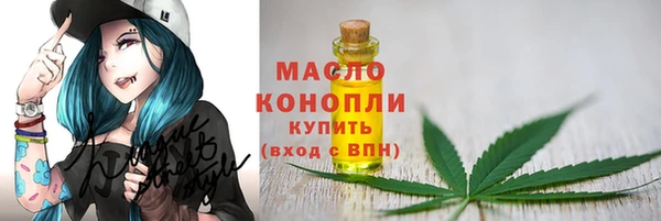 шишки Армянск