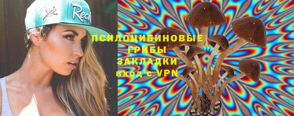 шишки Армянск