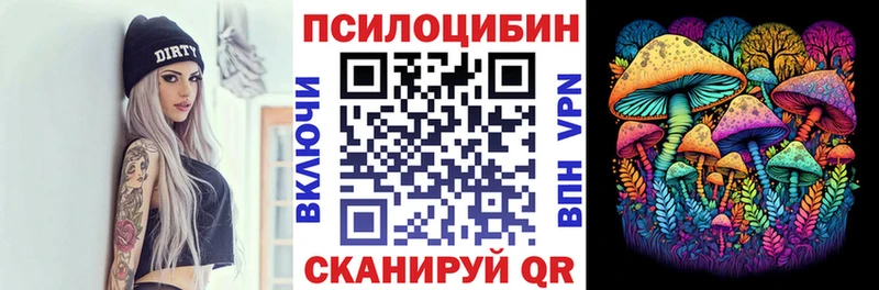 Купить  Дюртюли  Псилоцибиновые грибы Psilocybine cubensis 